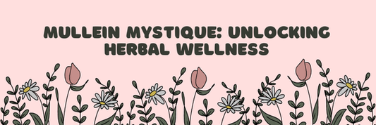 Mullein Mystique: Unlocking Herbal Wellness
