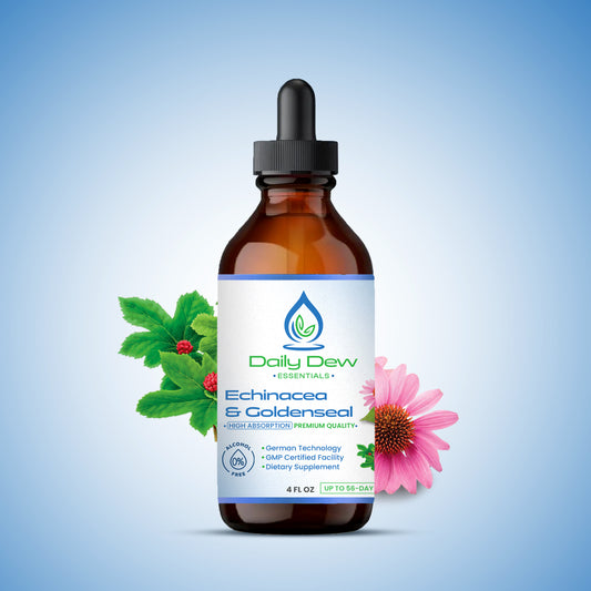 Echinacea & Goldenseal – High Absorption, Premium Quality